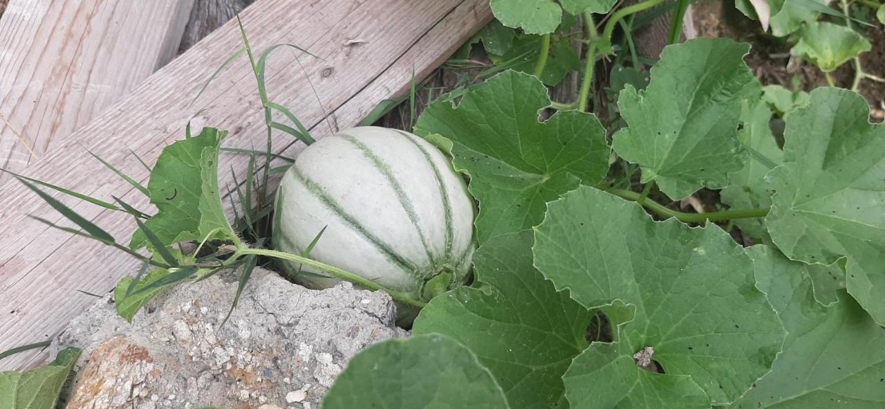 B&B L' Antica Macina Quiliano Zewnętrze zdjęcie