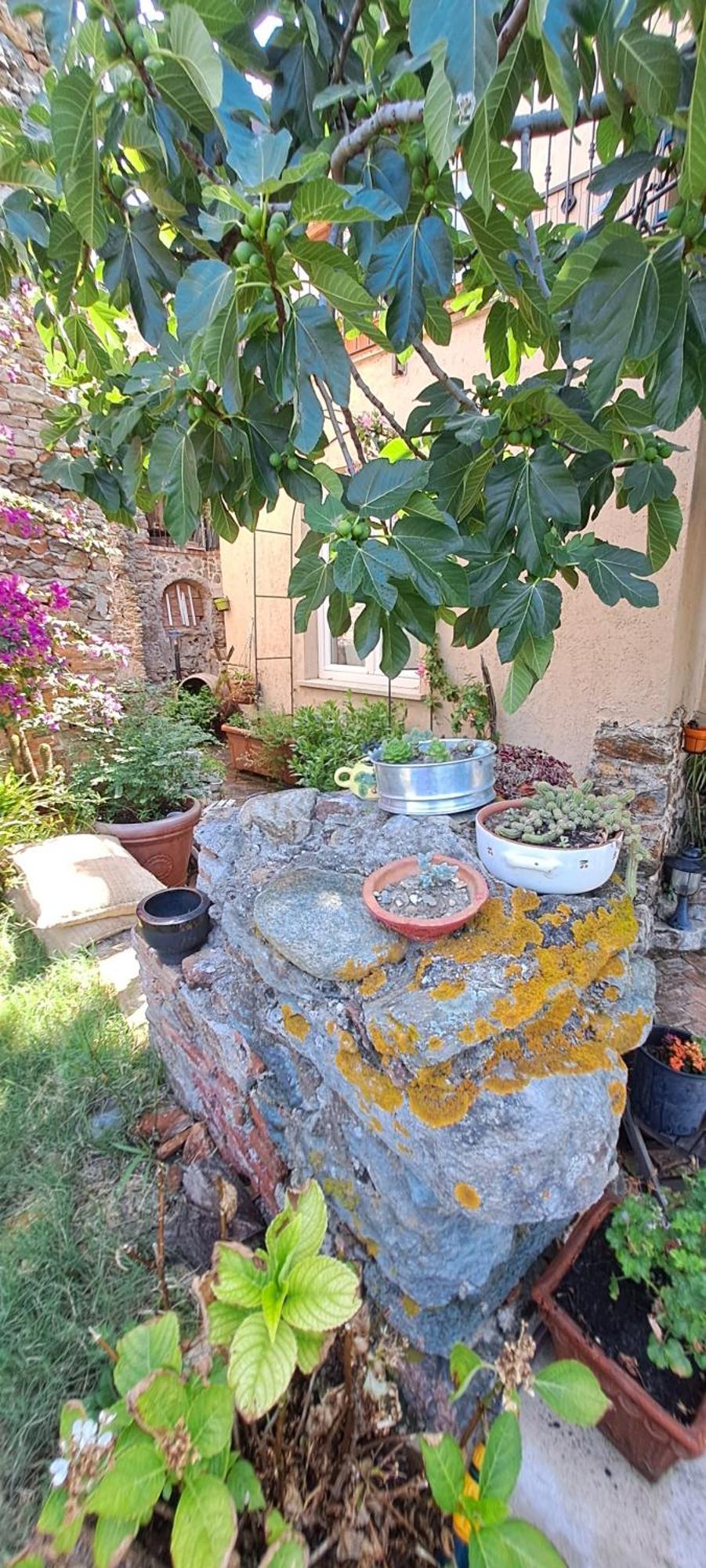 B&B L' Antica Macina Quiliano Zewnętrze zdjęcie