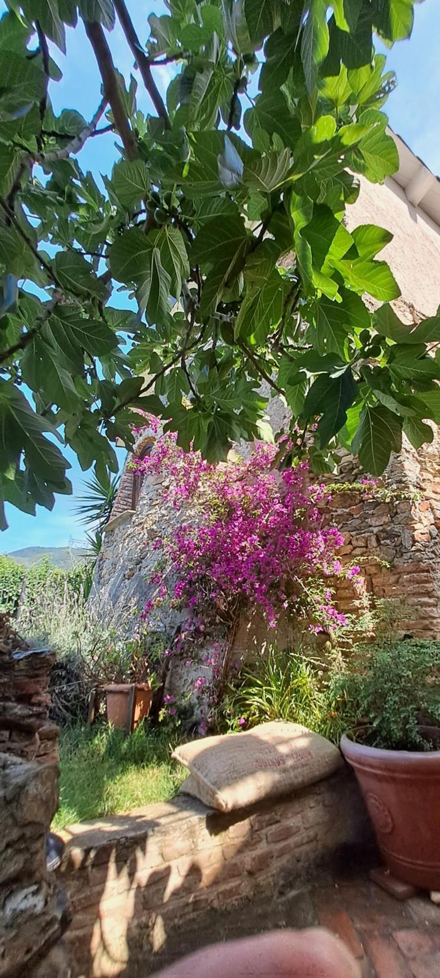 B&B L' Antica Macina Quiliano Zewnętrze zdjęcie